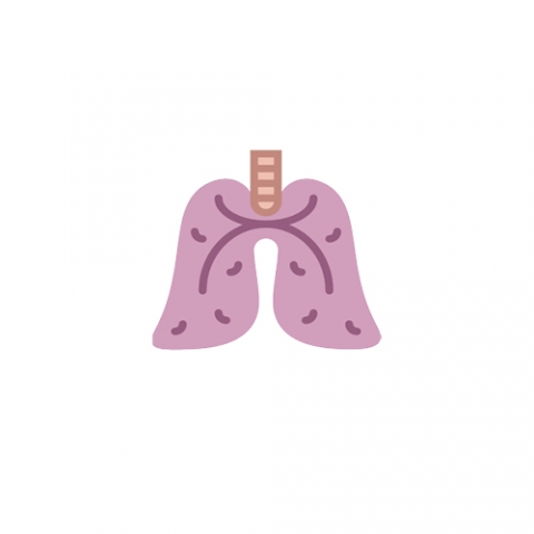 Afecţiuni ale aparatului respirator ...